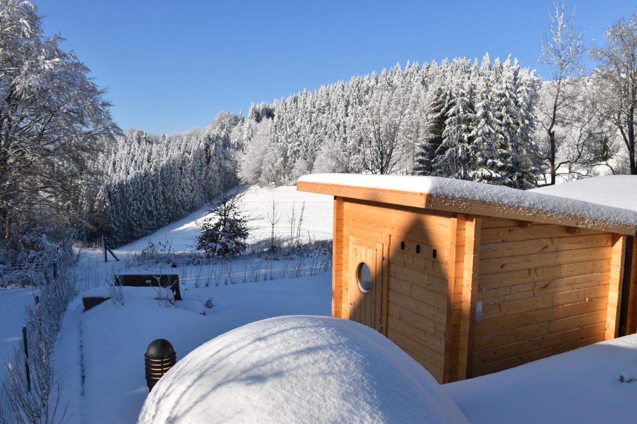 Asten-Chalets Winterberg Extérieur photo